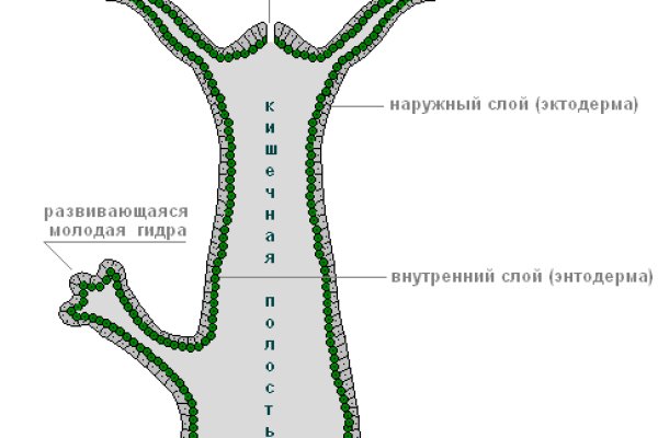 Кракен вход ссылка